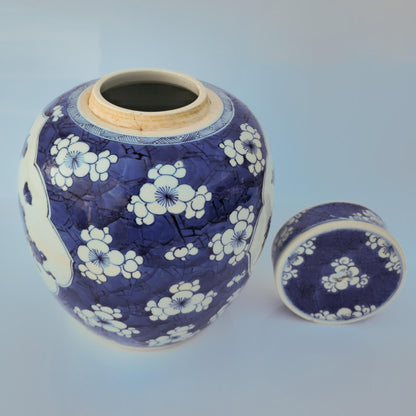Chinese 18thC. Blue and White Ginger Jar Plum Blossoms Cracked Ice Pattern Kangxi Qing Mollaris.com 