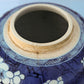 Chinese 18thC. Blue and White Ginger Jar Plum Blossoms Cracked Ice Pattern Kangxi Qing Mollaris.com 