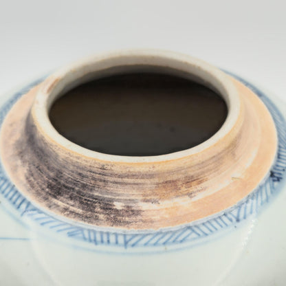 Chinese Export Blue Pagoda Landscape Decorated Lidded Porcelain Ginger Jar Mollaris.com 